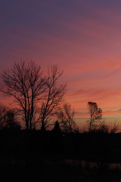 Free A tranquil and dramatic sunset silhouette featuring bare trees against a vibrant, colorful sky. Stock Photo