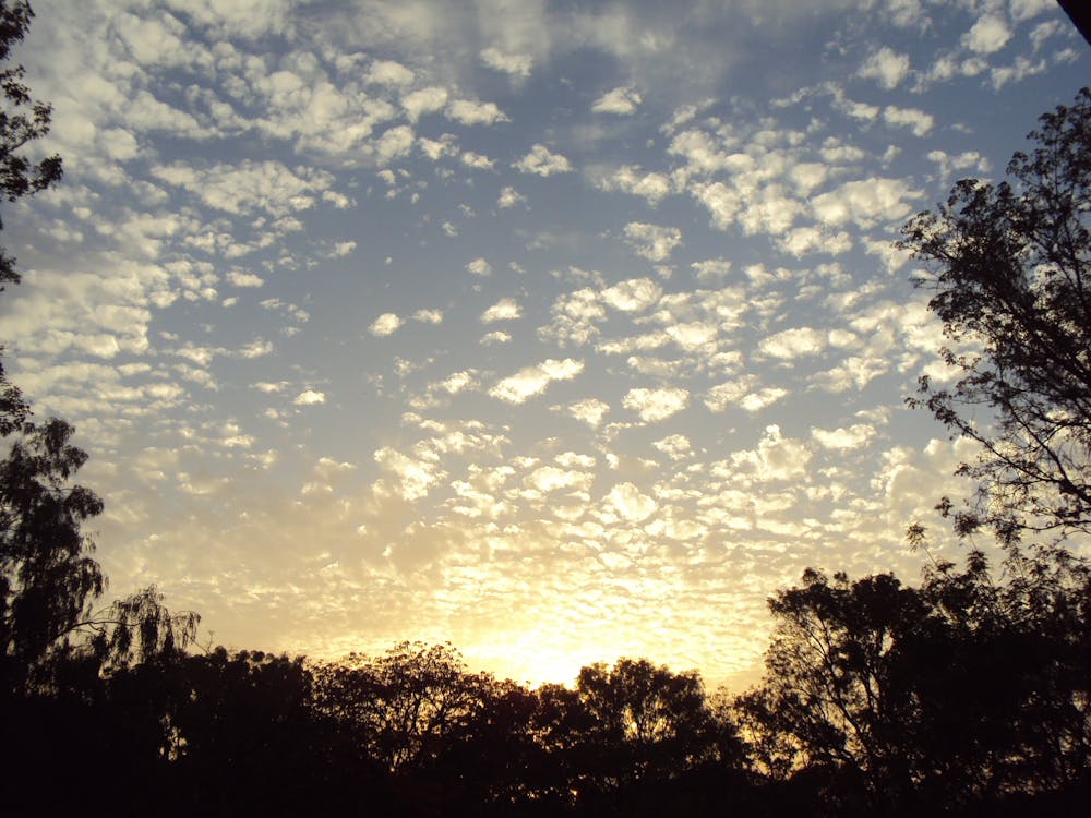 Free stock photo of clouds, shade, sunrise Stock Photo
