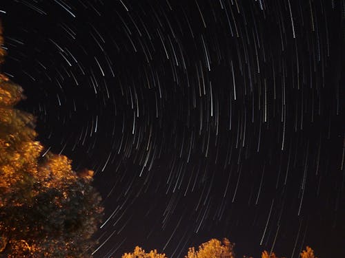 ağaçlar, gece, ışık çizgileri içeren Ücretsiz stok fotoğraf