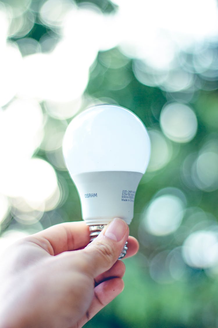 Hand Holding A White Light Bulb