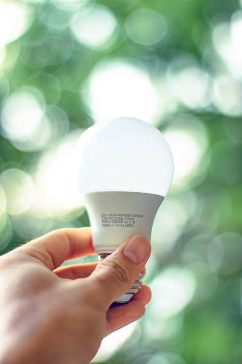 Person Holding Light Bulb