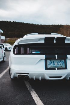 Numbers on licence plate on posterior part of contemporary luxury white car on paved road near woodland