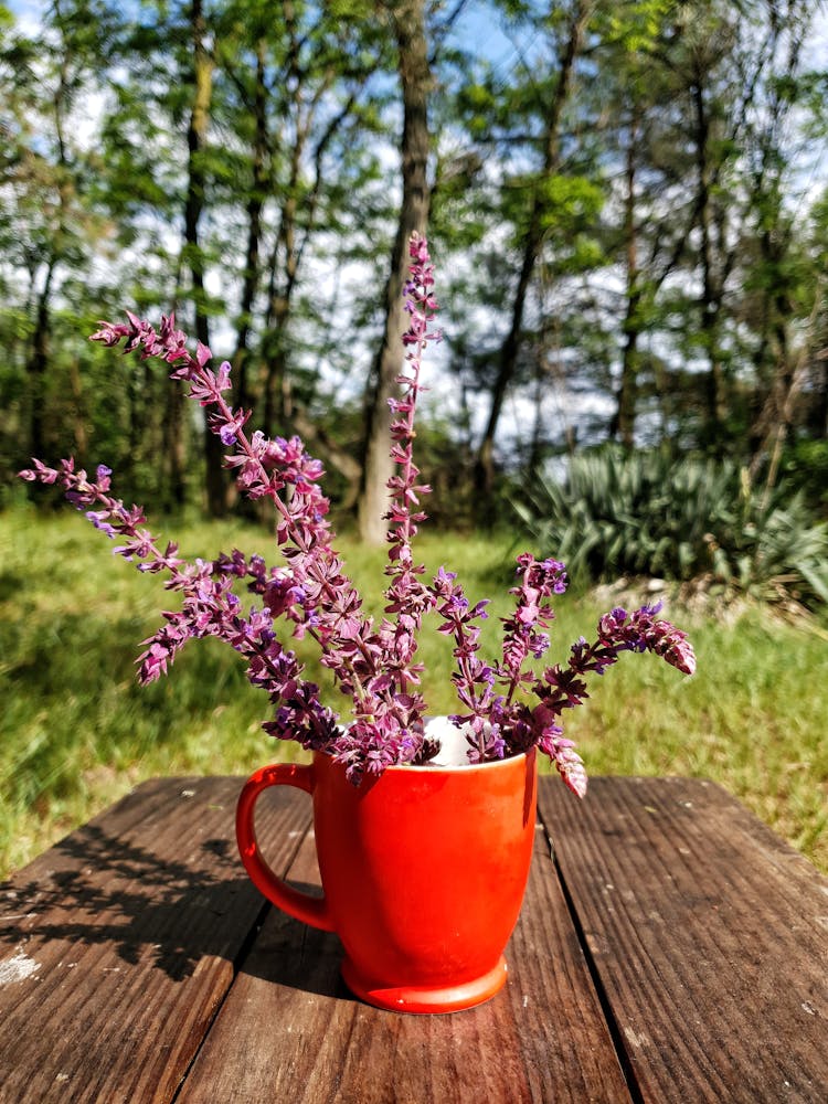 Purple Flowers In Red Ceramic Mug 