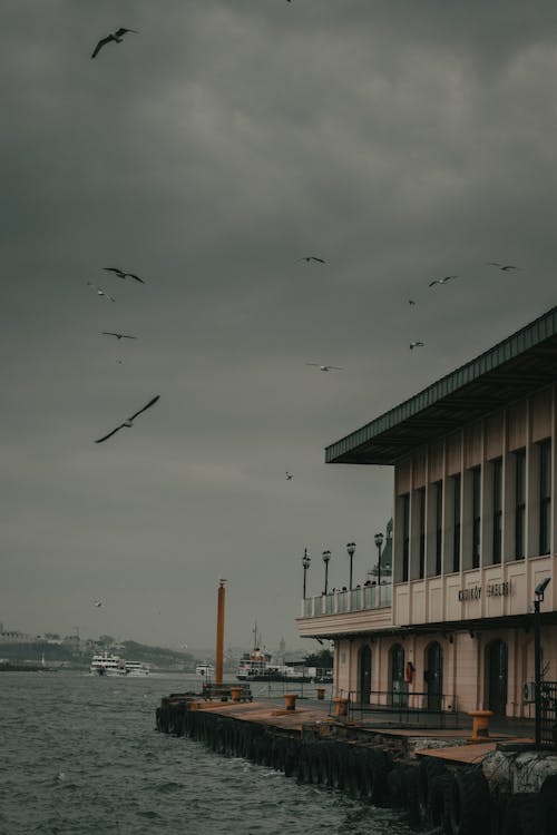 Building of Marine station with balcony under flock of birds in grey sky covered with clouds