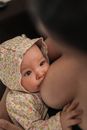 From above of adorable infant drinking mothers milk and looking of faceless woman