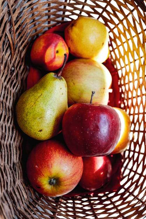 Gratis lagerfoto af æble, Apple, bio