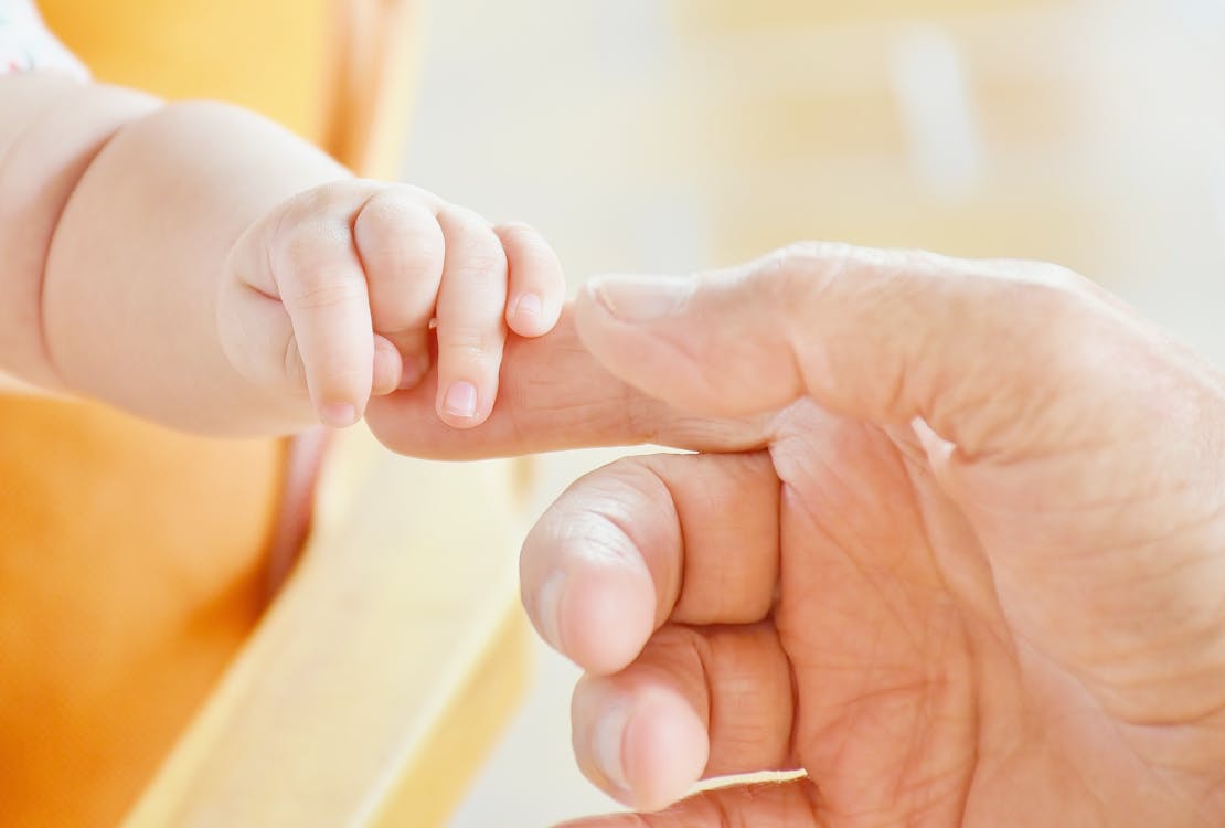 An adult hand touching a baby's hand