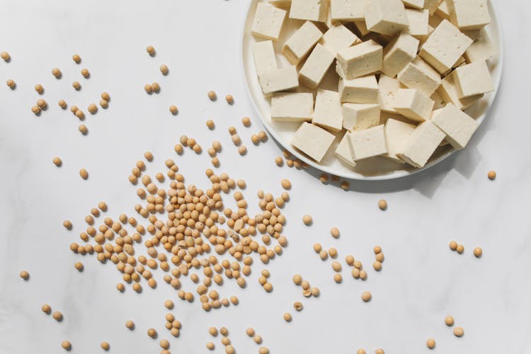 Photo Of Tofu On White Ceramic Plate Near Soybeans