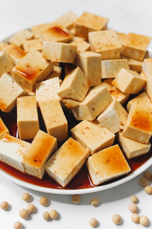 Free Photo of Tofu on White Ceramic Plate Stock Photo