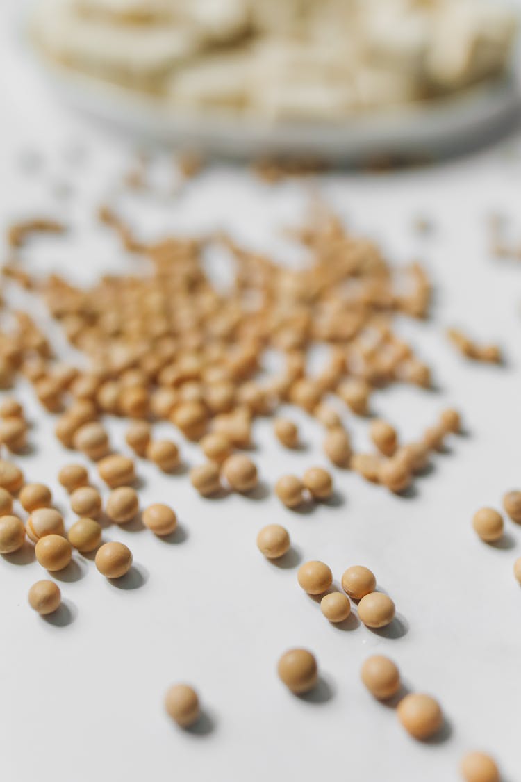 Selective Focus Photo Of Soybeans