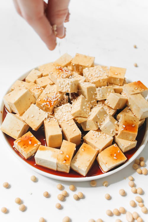 Free Photo of Tofu With Soy Sauce and Sesame Seeds Stock Photo