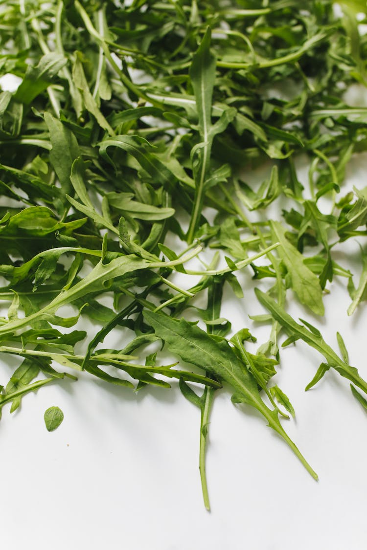 Arugula Leaves 