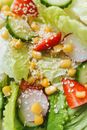 Sliced Tomato and Green Leaf Vegetable