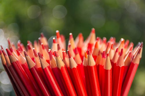 Free Red Colored Pencils in Close-up Photography Stock Photo