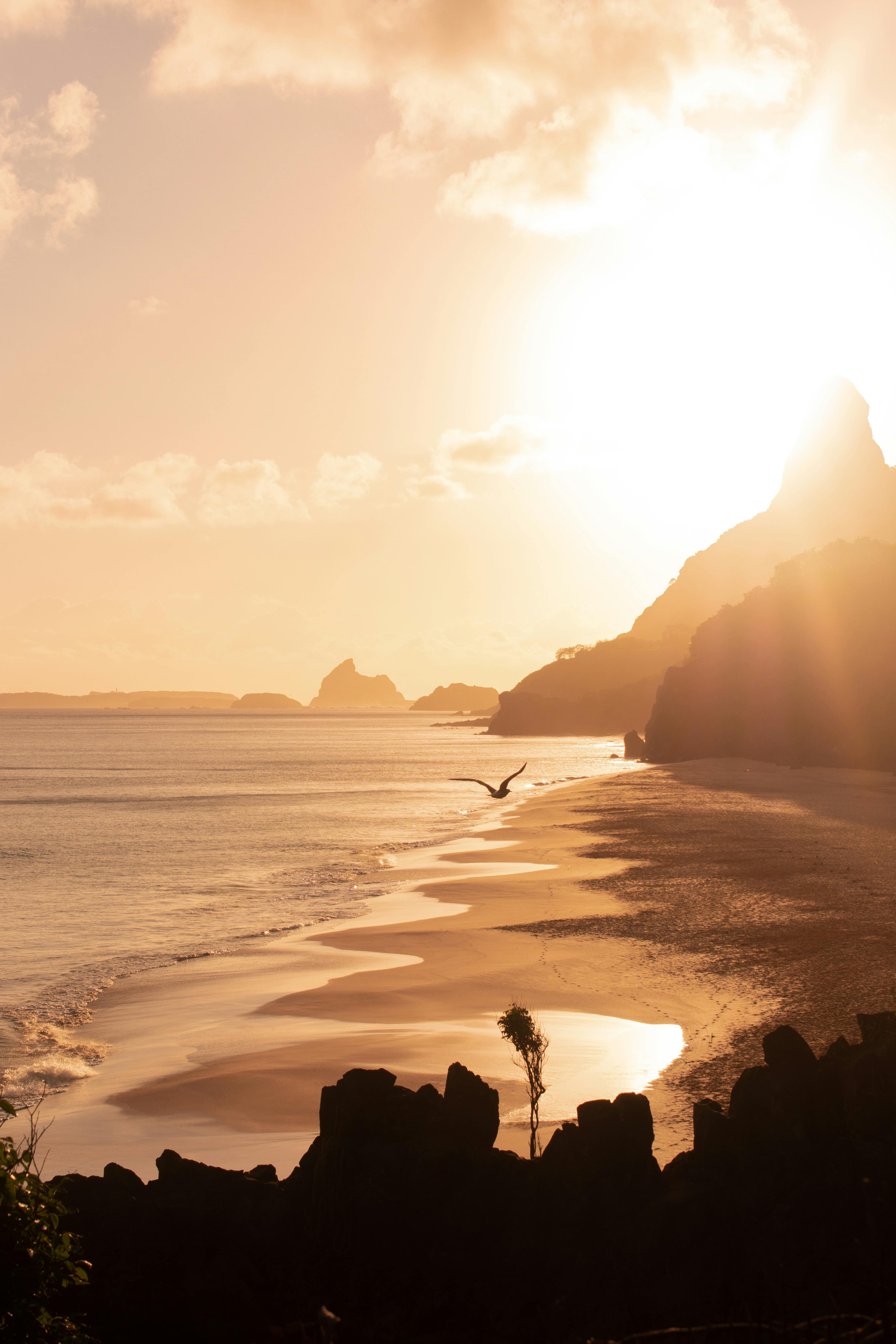 sunlight on beach