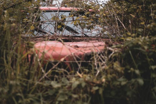 Foto d'estoc gratuïta de a l'aire lliure, a pagès, abandonat