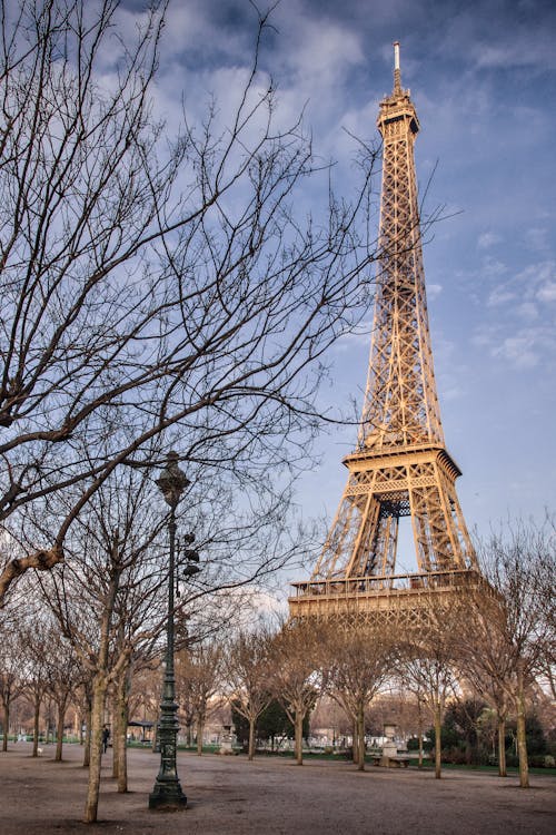 Безкоштовне стокове фото на тему «Ейфелева вежа, Париж, ранній схід сонця»