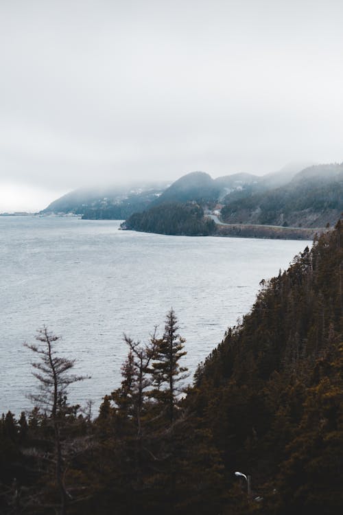 Amazing view of calm sea located near mountain range with trees against fog covering peaks of highland in overcast weather