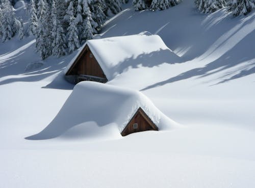 Коричневый деревянный дом засыпан снегом возле сосен