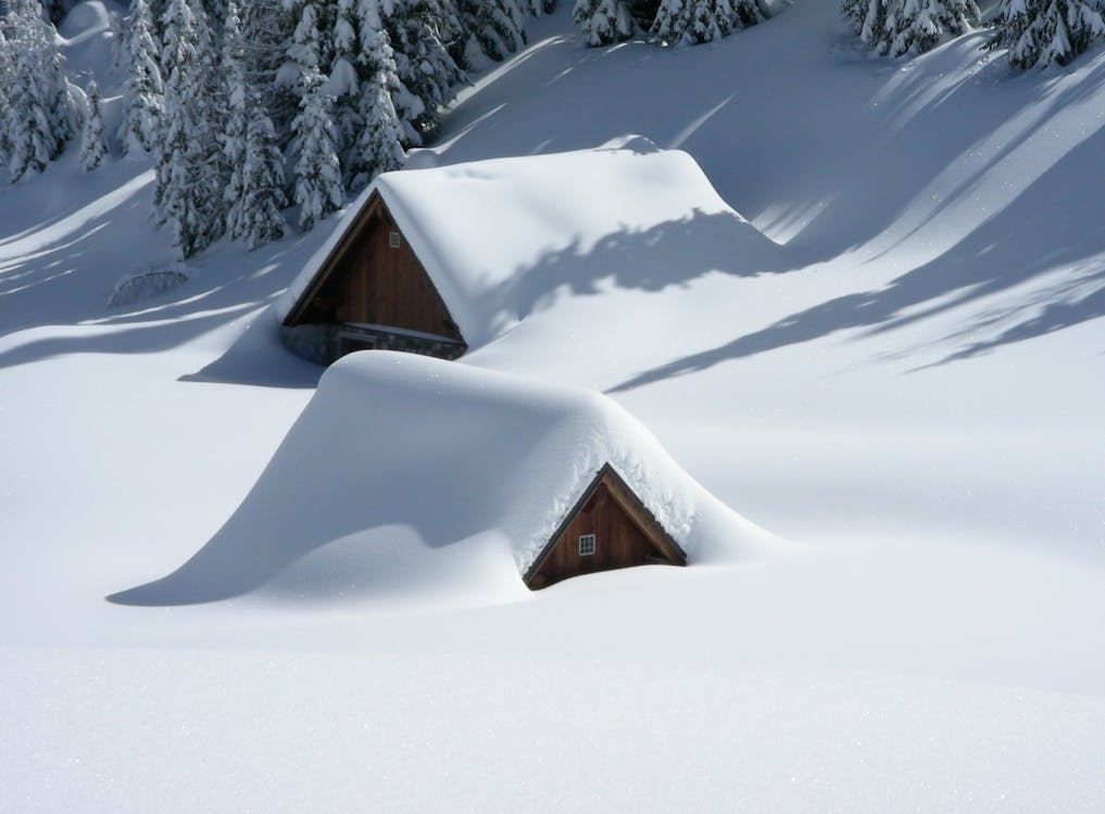 棕色的木製房子，附近的松樹被雪覆蓋著
