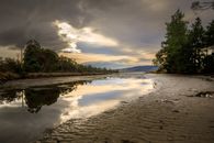 Calm river covered with slime