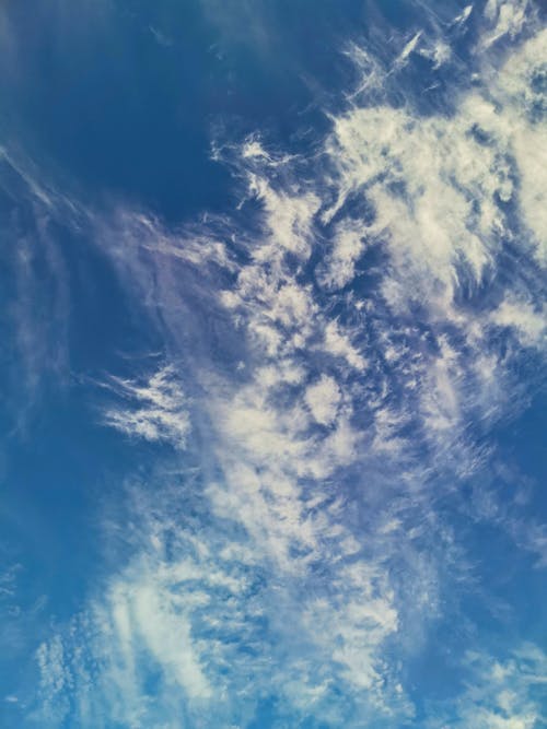 Imagine de stoc gratuită din cer albastru, cer frumos, după-amiază