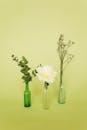 在浅色背景下，复古绿瓶中插着桉树与鲜花，呈现出时尚的极简主义花卉布置