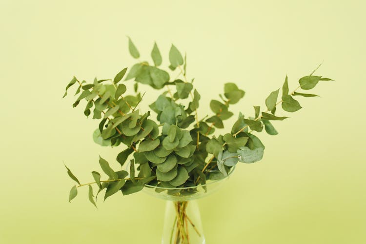 Natural, Green Leaves Arrangement