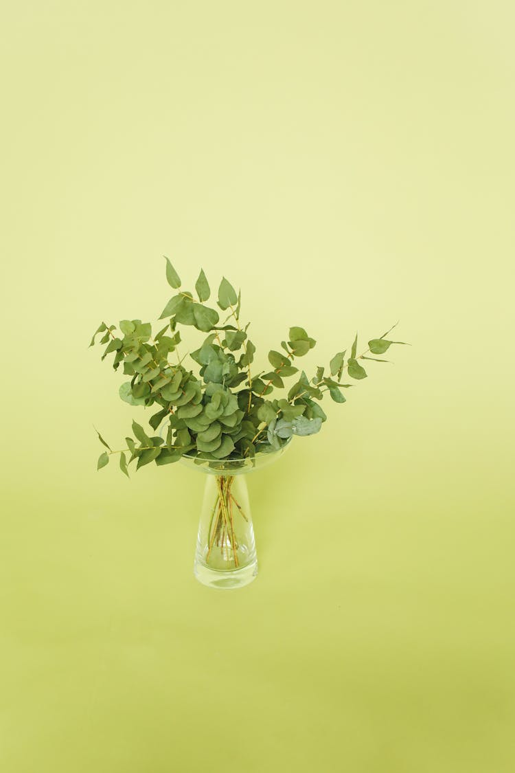 Natural, Green Leaves Arrangement