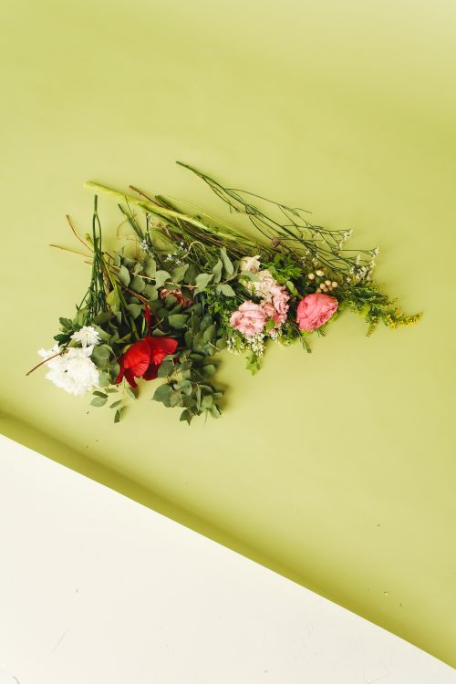 Free Delicate bouquet of mixed flowers on a green background, perfect for spring themes. Stock Photo