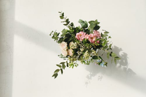 Free Bouquet of Colorful Flowers on White Background Stock Photo
