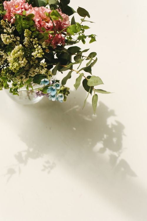 Free Beautiful floral arrangement in a clear vase casting shadows, captured in natural light. Stock Photo