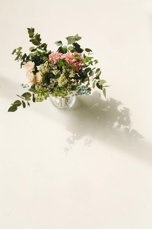Základová fotografie zdarma na téma květiny, kytice, příroda