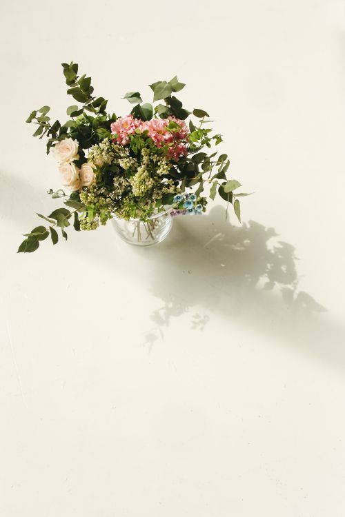 Free Beautiful arrangement of flowers in a glass vase casting shadows on a white background. Stock Photo