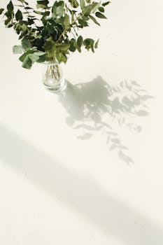 简单的玻璃花瓶里插着桉树叶，在浅色表面投下艺术感的阴影
