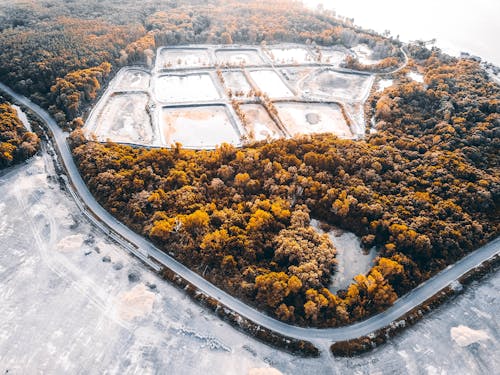 Wavy road near bright tree tops in autumn