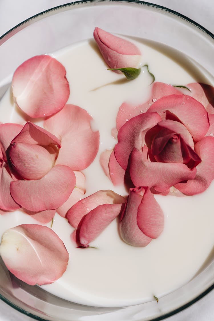 Close-up Of Rose Petals In Milk