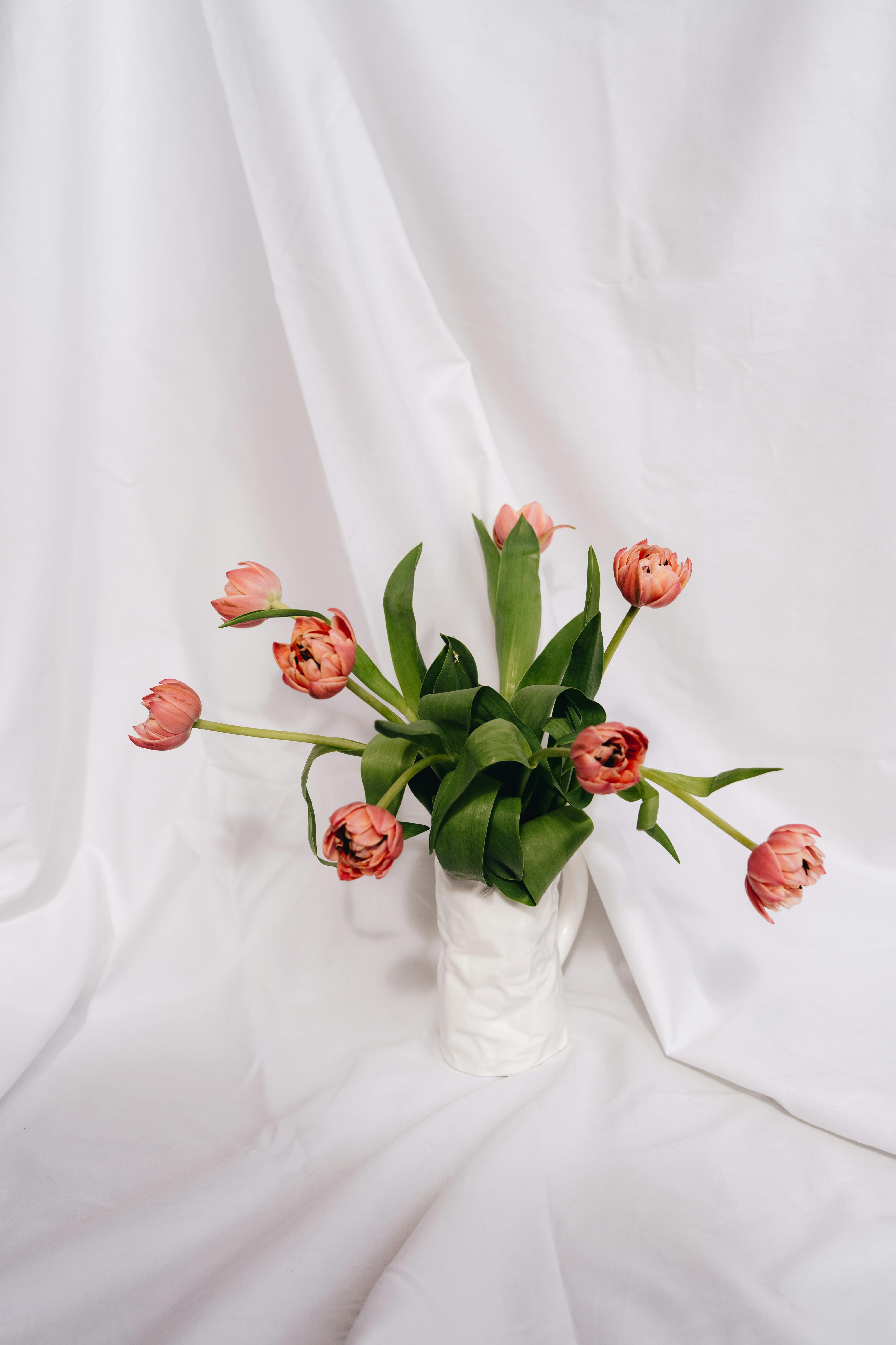 Charming pink tulips displayed in a white ceramic vase on a draped fabric background.