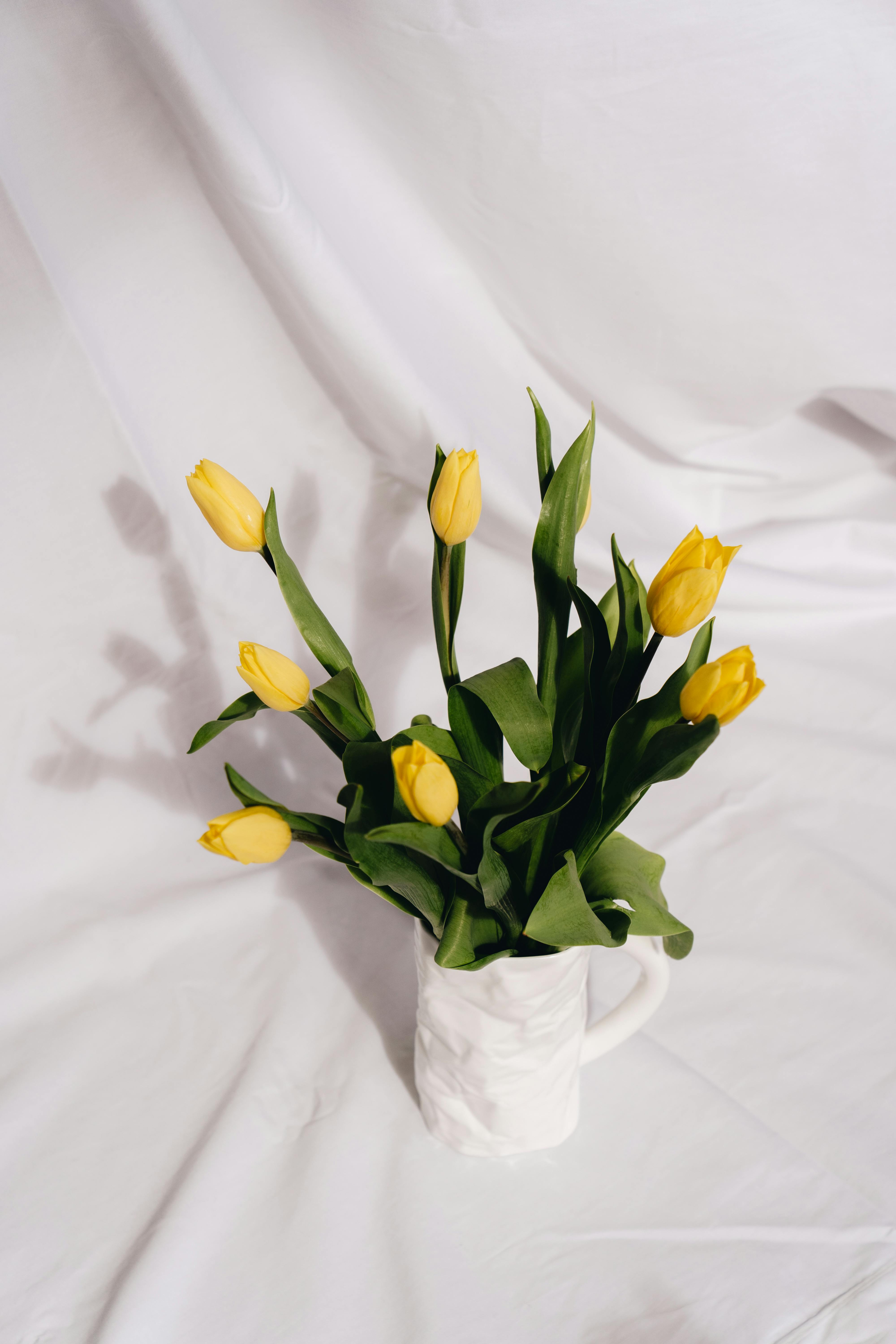 A vertical shot of vibrant yellow tulips elegantly arranged in a marble vase against a soft white background.