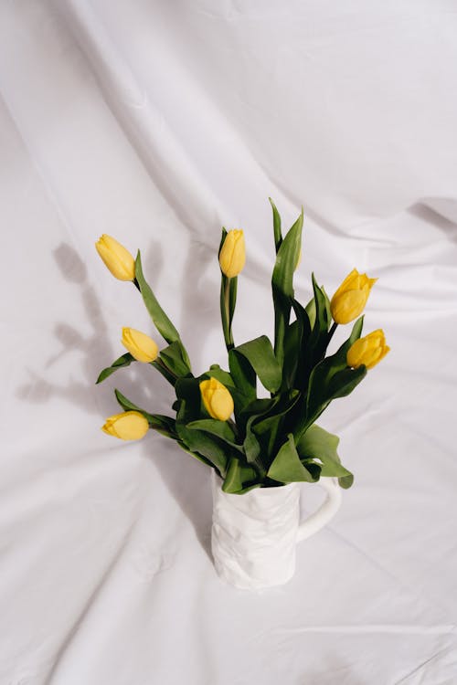 Yellow Tulips in a Vase