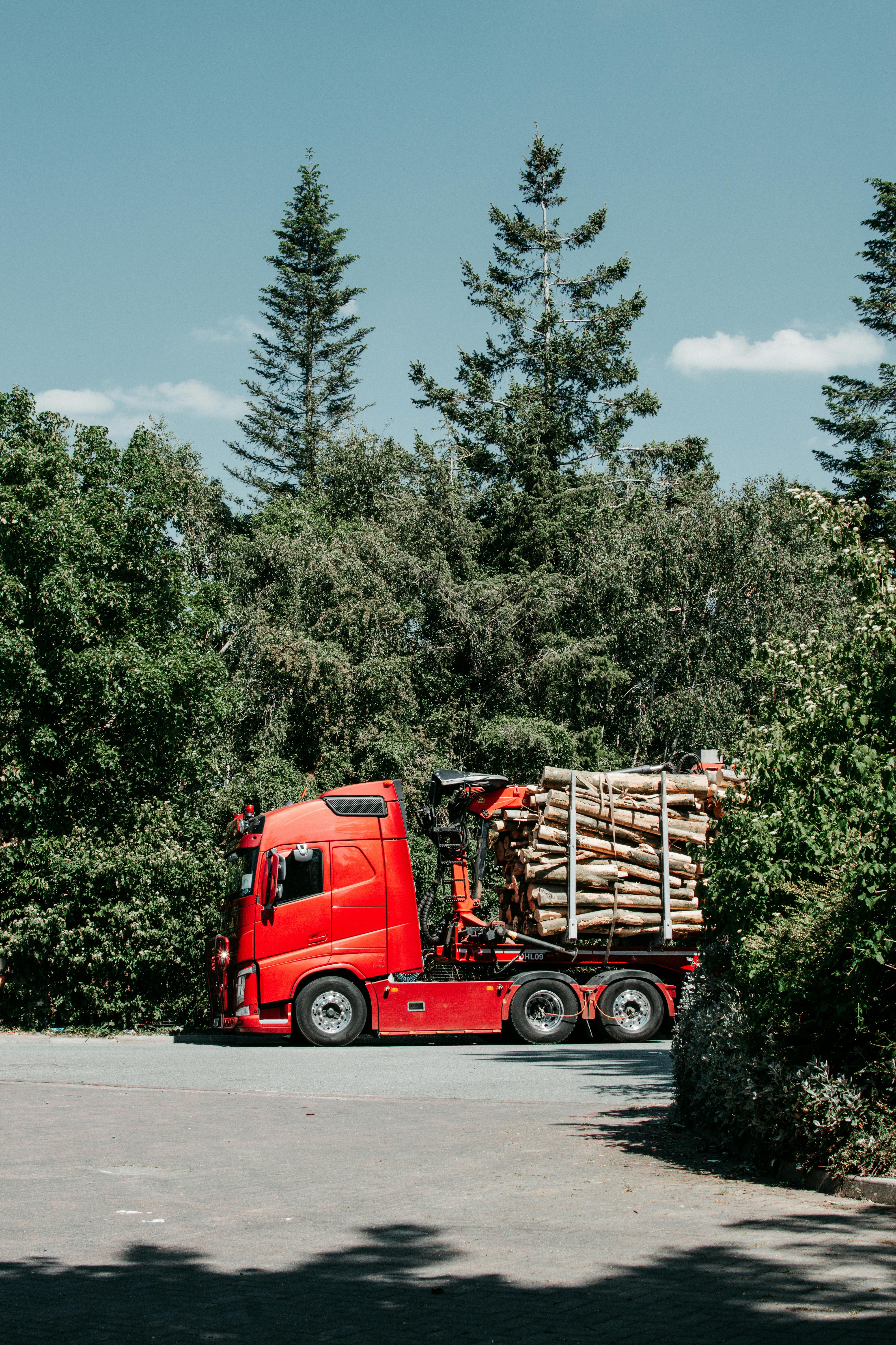 A bright red truck carrying logs parked along a lush green forest