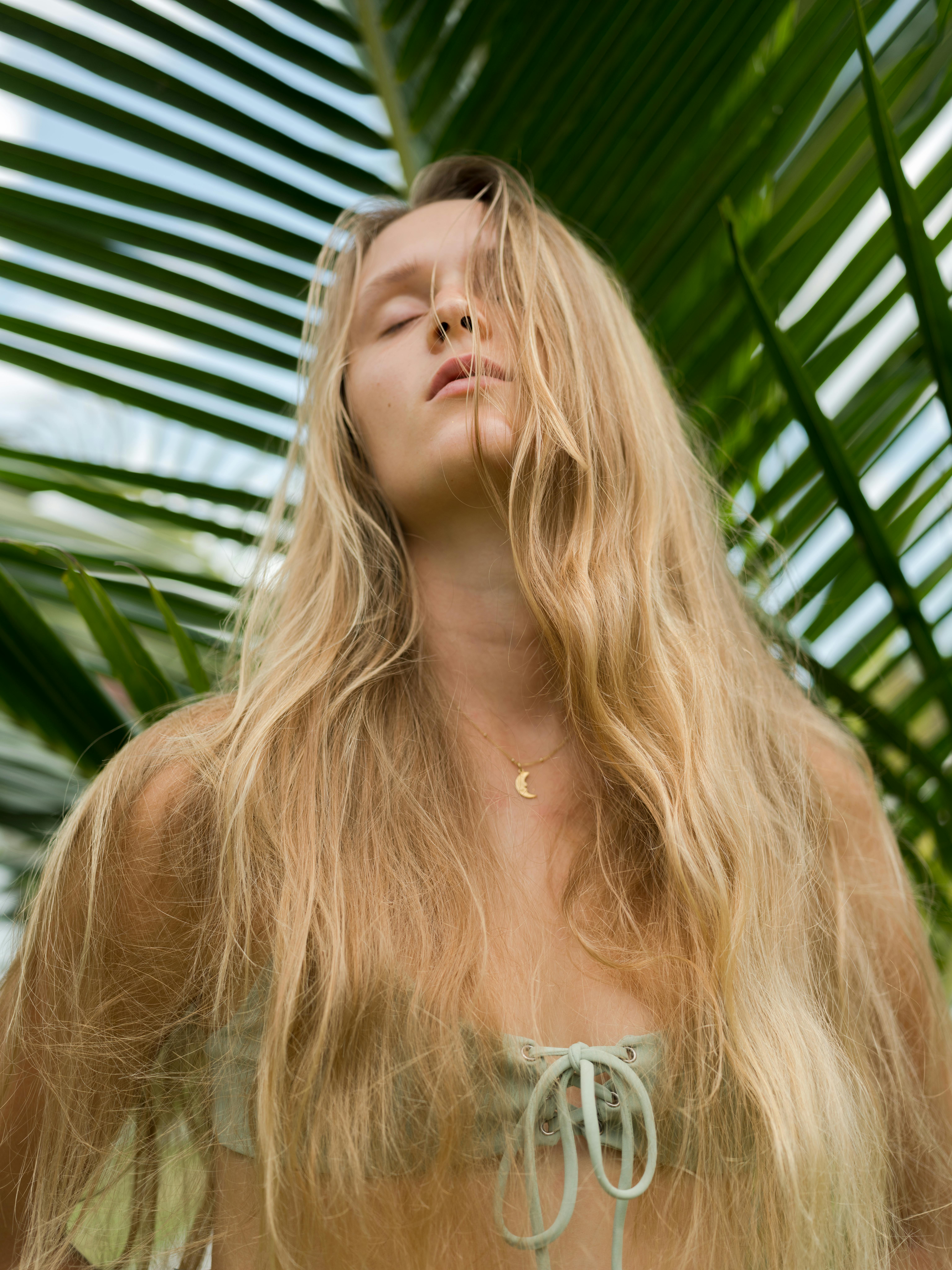 가지, 걱정 없는, 경사의 무료 스톡 사진