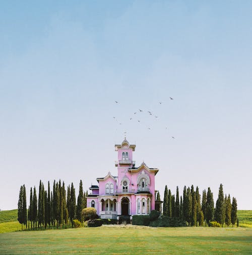 免费 白色和粉红色的混凝土建筑，在白色的天空下的绿草田 素材图片