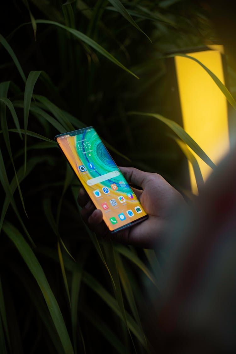 Crop Person Using Modern Smartphone Near Lush Plants