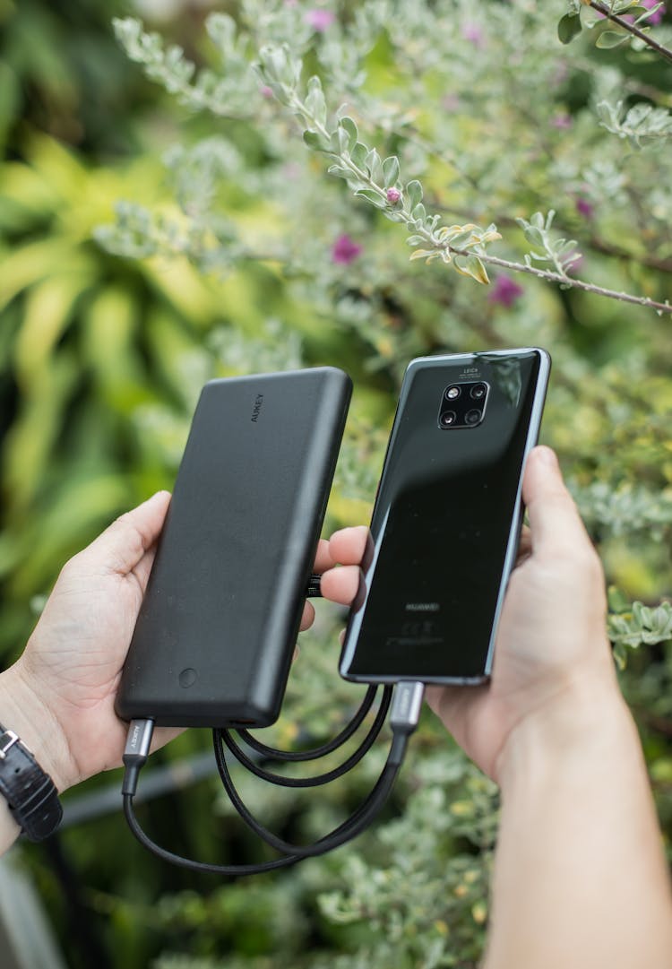 Crop Person With Smartphone And Portable Power Bank Near Shrub