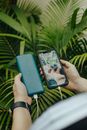 From above of crop unrecognizable person transferring information from cellphone to portable hard drive using USB connector near fern leaves