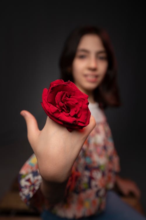 Gratis stockfoto met aanschouwen, aardig, adolescent