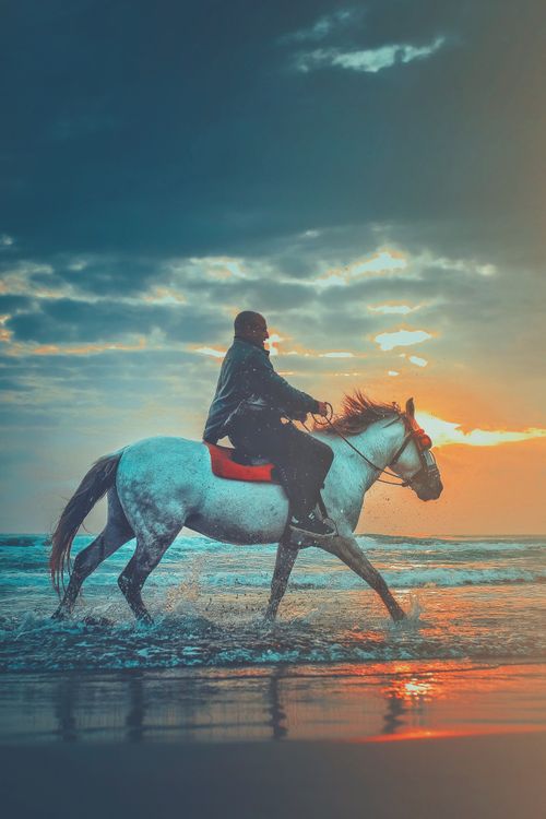 Free Side view of anonymous male traveler riding horse on sandy beach of wavy ocean against cloudy sunset sky Stock Photo