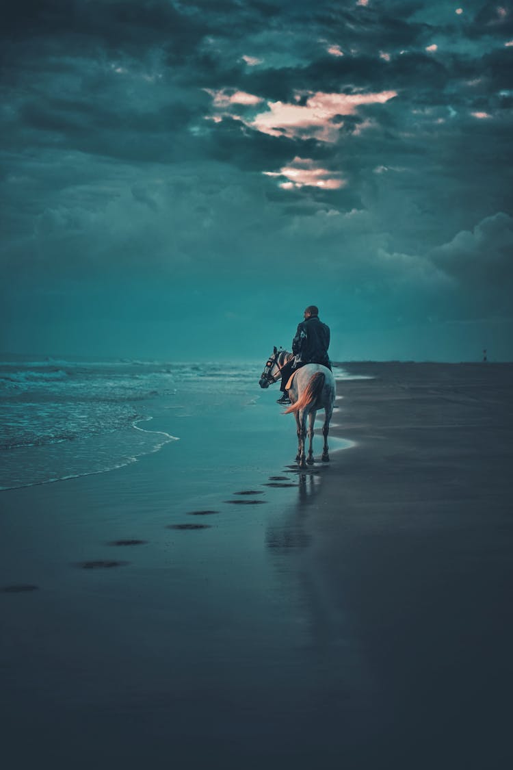 Unrecognizable Man Riding Horse On Beach