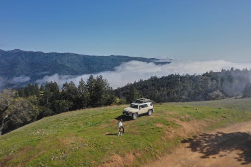 Free Unrecognizable traveler standing near car on green terrain Stock Photo